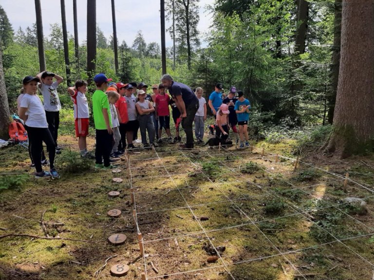 Grossansicht in neuem Fenster: 20.06.2023 Waldjugendspiele