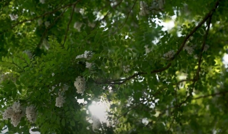 Grossansicht in neuem Fenster: ILE Klosterwinkel – 10 Kommunen – eine gemeinsame Zukunft